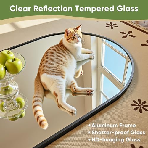 Łukowate lustro na całej długo – Arch Mirror Leaning recenzja i cena